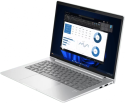 Notebook HP ProBook 440 G11 (A4MY5PT#AKL)