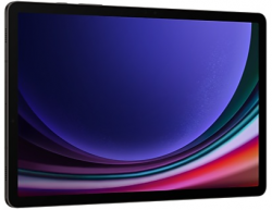 Tablet Samsung Galaxy Tab S9 5G Graphite (PSMX716BZAETHL)