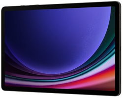 Tablet Samsung Galaxy Tab S9 5G Graphite (PSMX716BZAETHL)