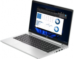 Notebook HP ProBook 455 G10 (B82N1AT#AKL)