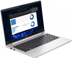 Notebook HP ProBook 455 G10 (B82N1AT#AKL)