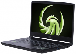 Notebook MSI Bravo 15 C7VEK-096TH (9S7-158N11-096)