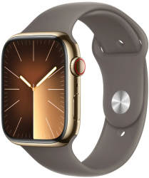 Apple Watch Series 9 GPS + Cellular 45mm Gold Stainless Steel Case with Clay (MRMR3SA/A)