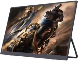 Monitor Dahua Portable (PM19-S201S)