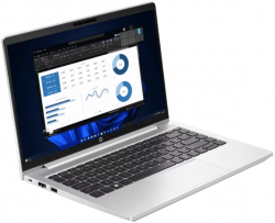 Notebook HP ProBook 440G10-466TU (9F466PT#AKL)