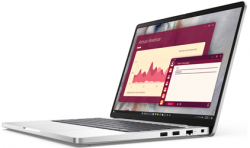 Notebook Dell Pro 14 PC14250 (SNSPC1425012)